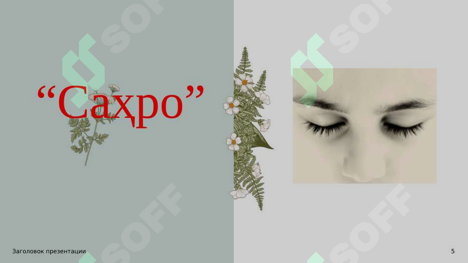 Product slide 5