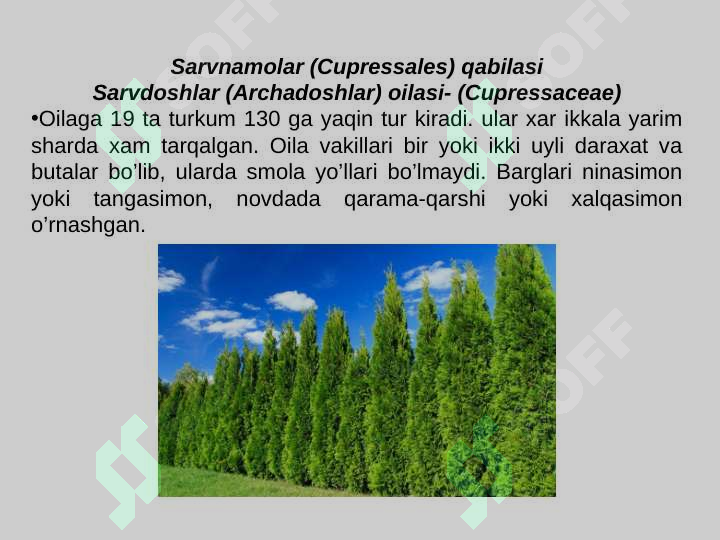 Product slide 7