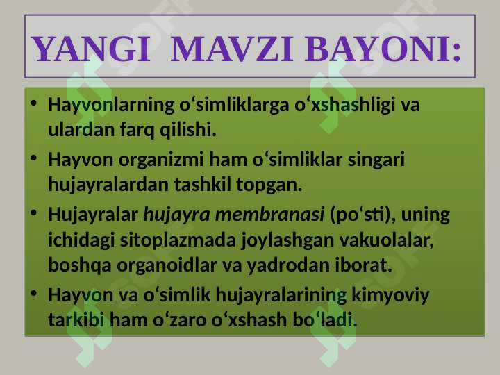 Product slide 5