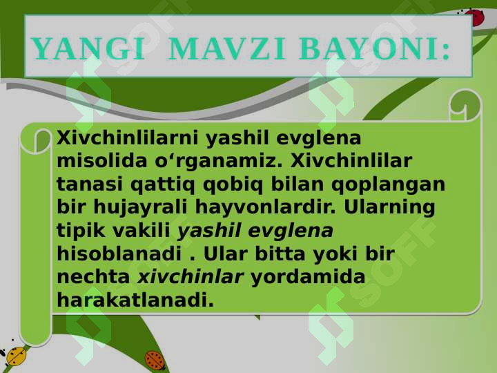 Product slide 7