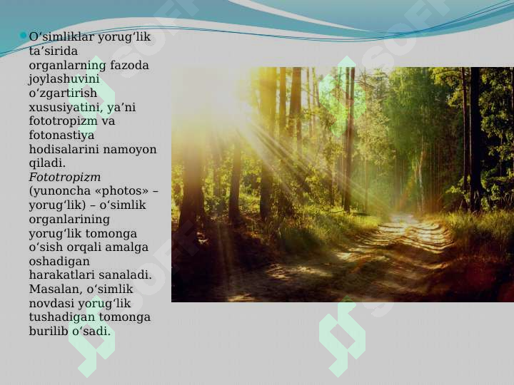 Product slide 6