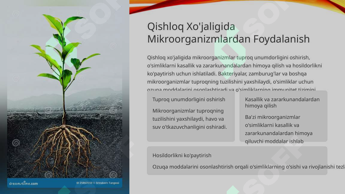 Product slide 4