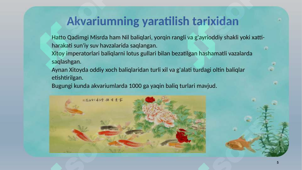 Product slide 5