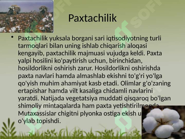 Product slide 7