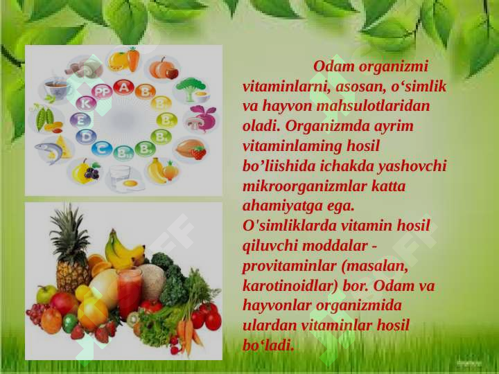Product slide 8