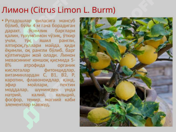 Product slide 5