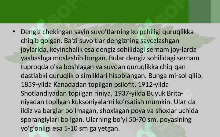 Product slide 7