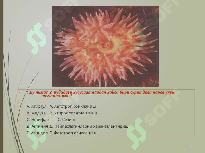 Product slide 8
