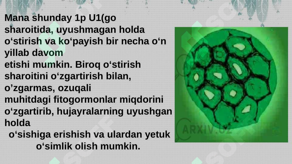 Product slide 6