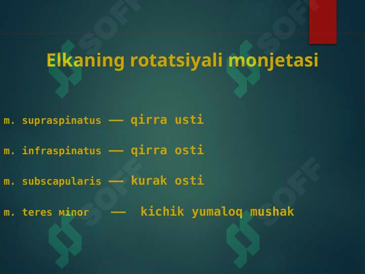 Product slide 7