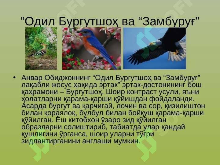 Product slide 5
