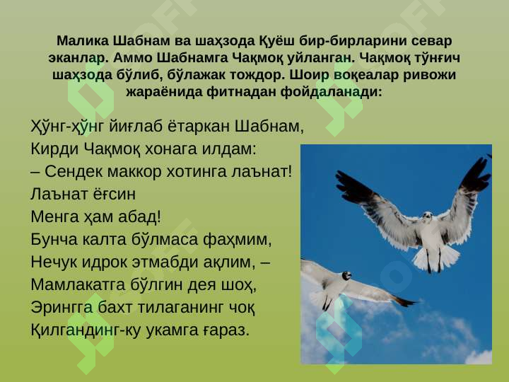 Product slide 7