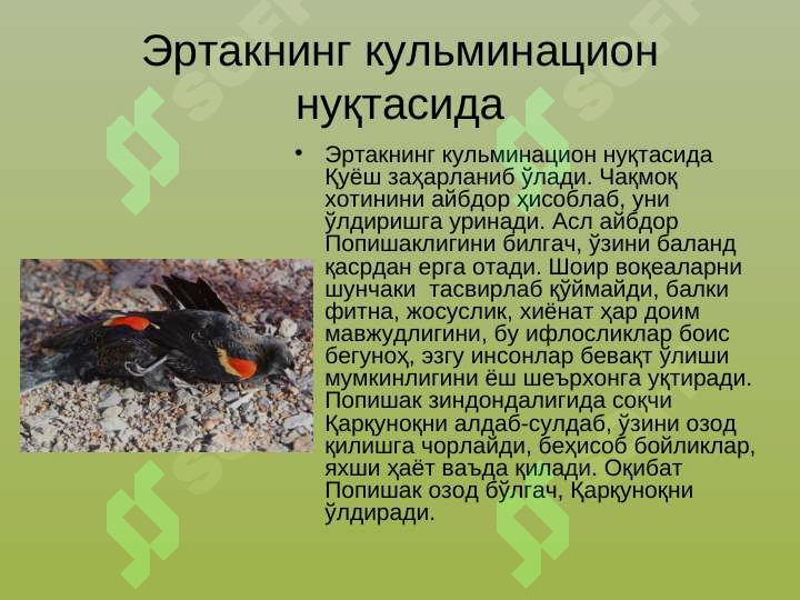 Product slide 8