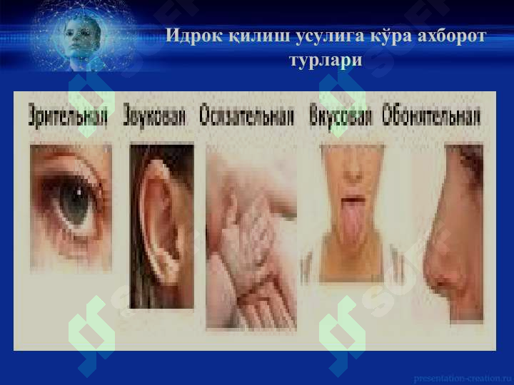 Product slide 5