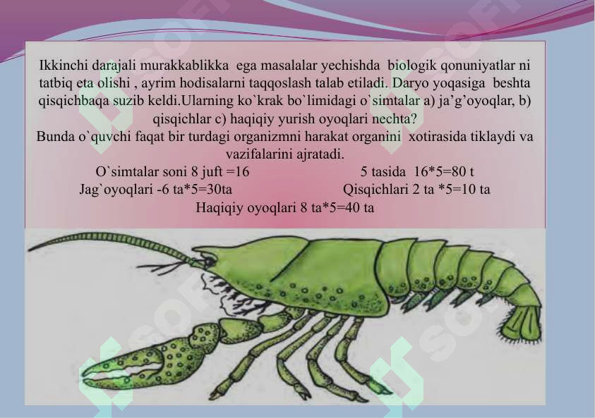 Product slide 5