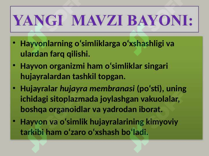 Product slide 5