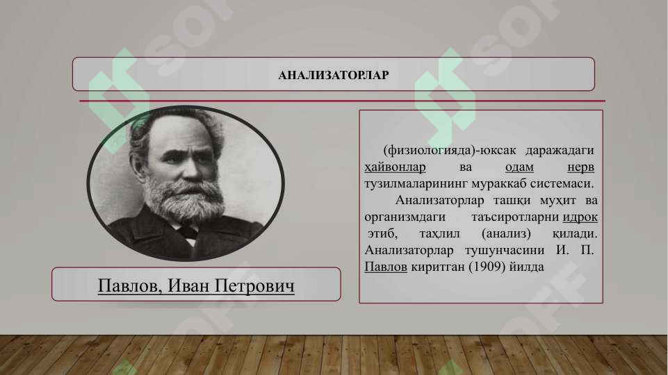 Product slide 6