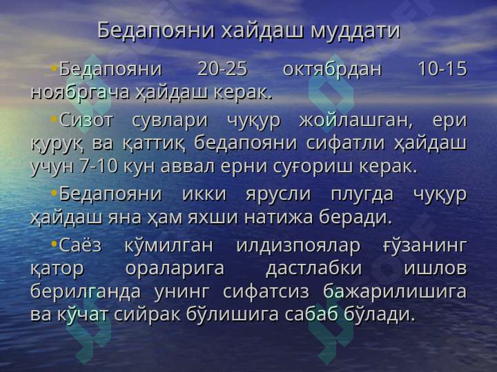 Product slide 8