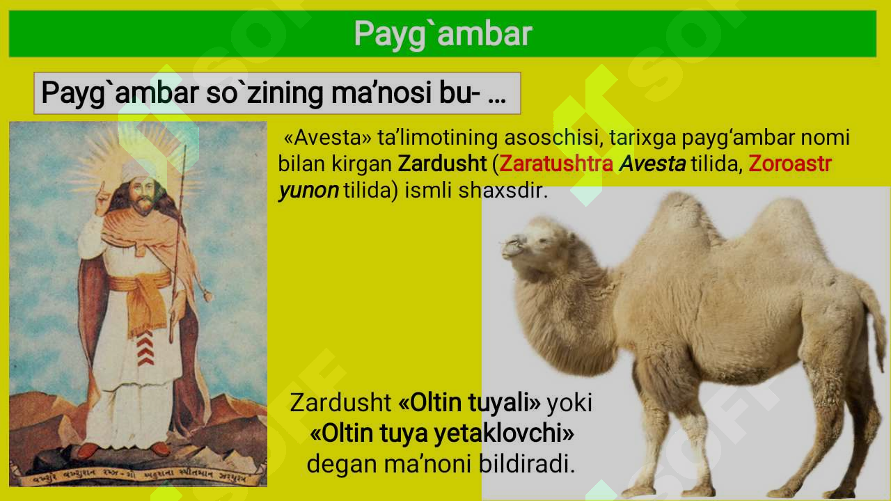Product slide 7