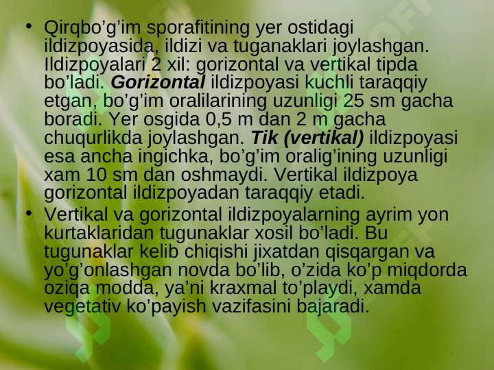 Product slide 7