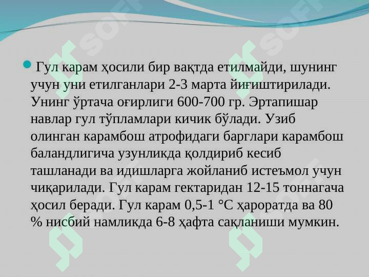 Product slide 7
