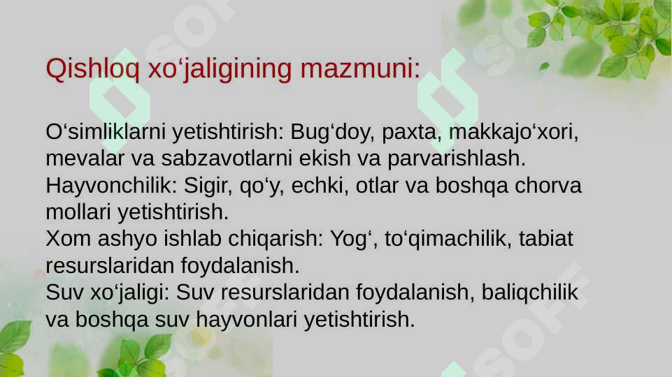 Product slide 3
