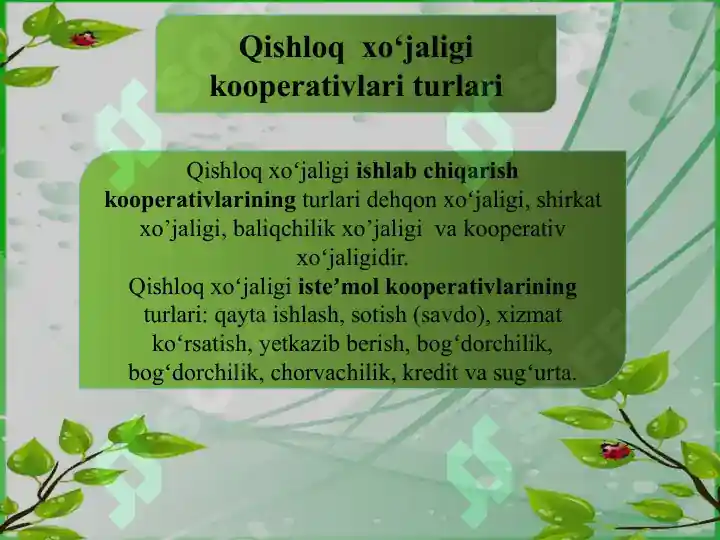 Product slide 6