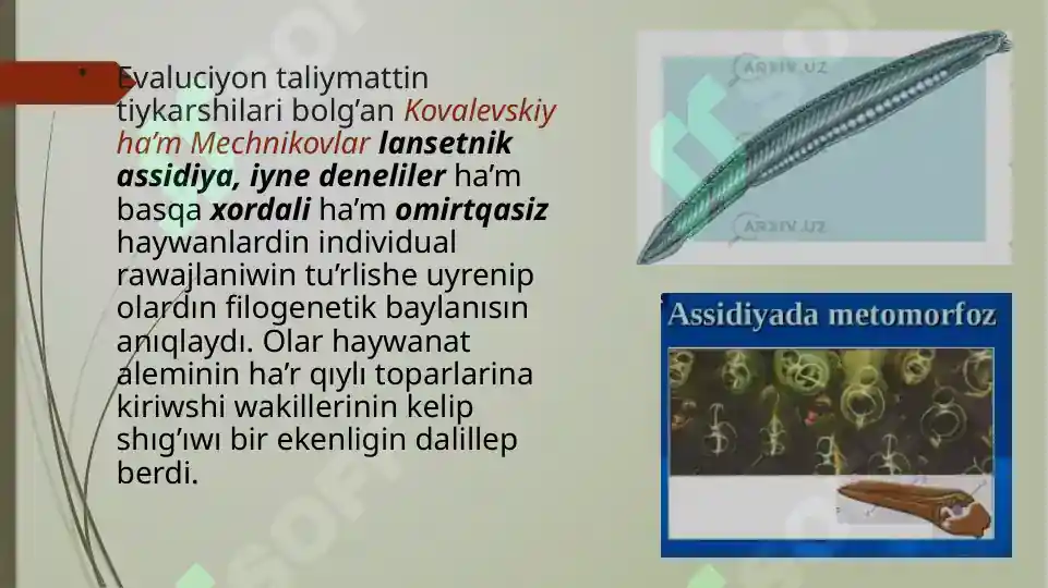 Product slide 8