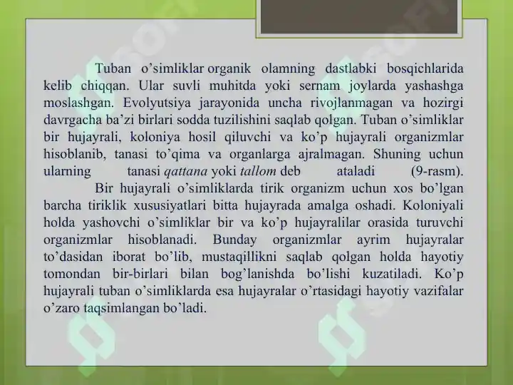 Product slide 6