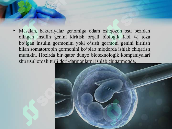 Product slide 7