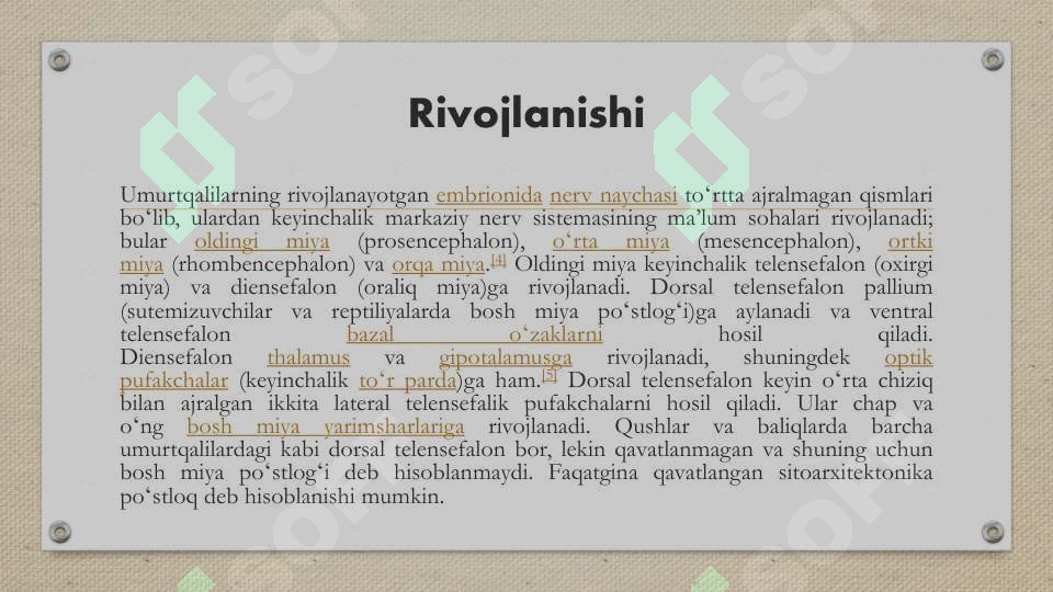 Product slide 7