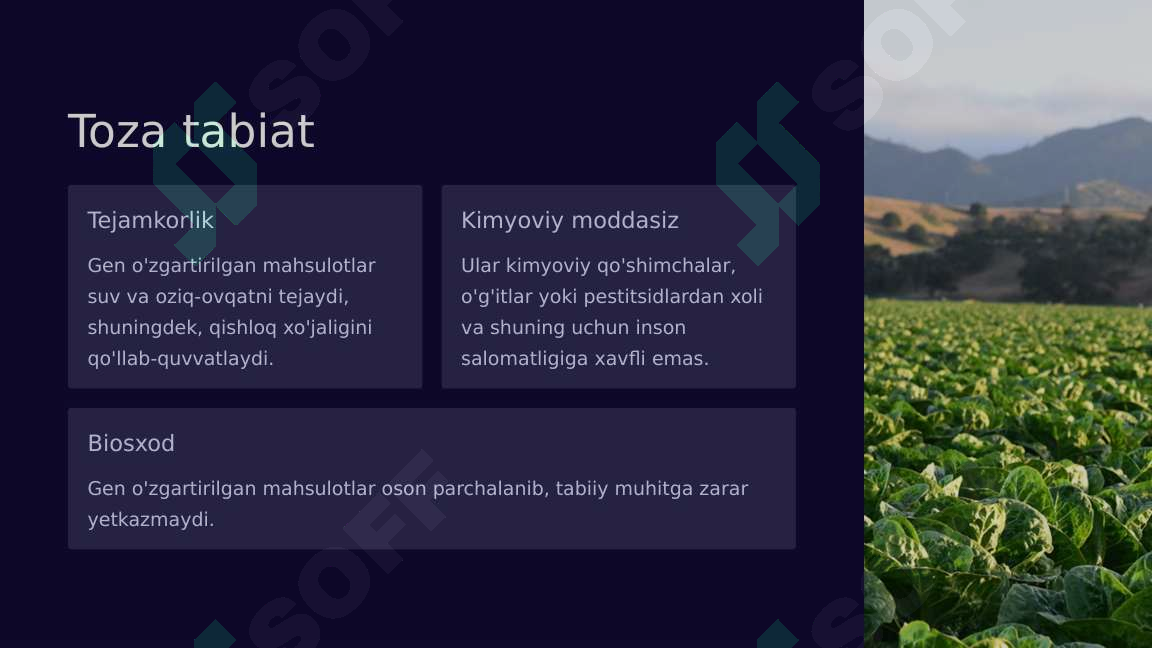 Product slide 2