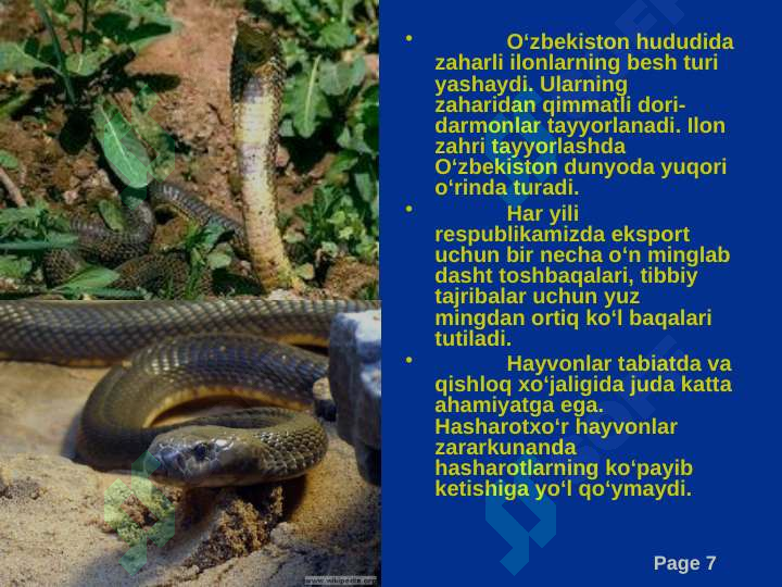 Product slide 7