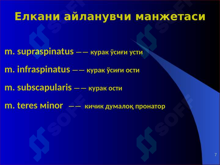 Product slide 7