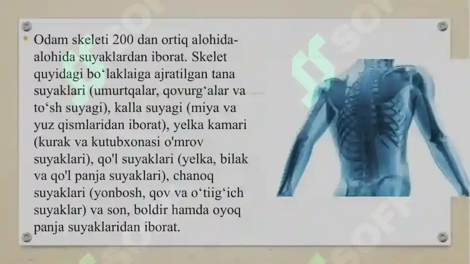 Product slide 7