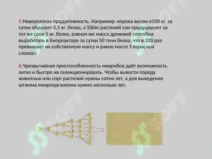 Product slide 5