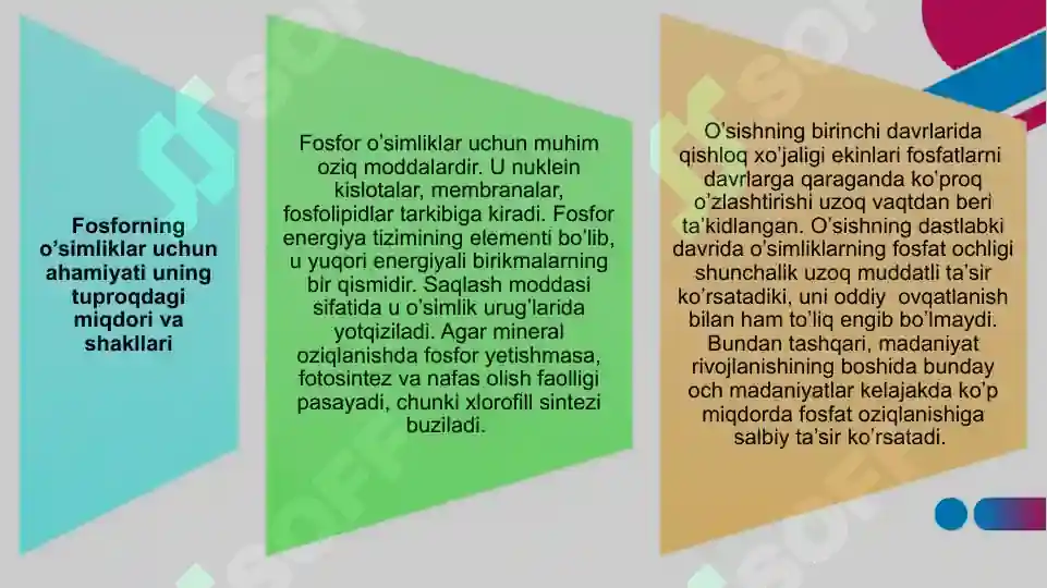 Product slide 6