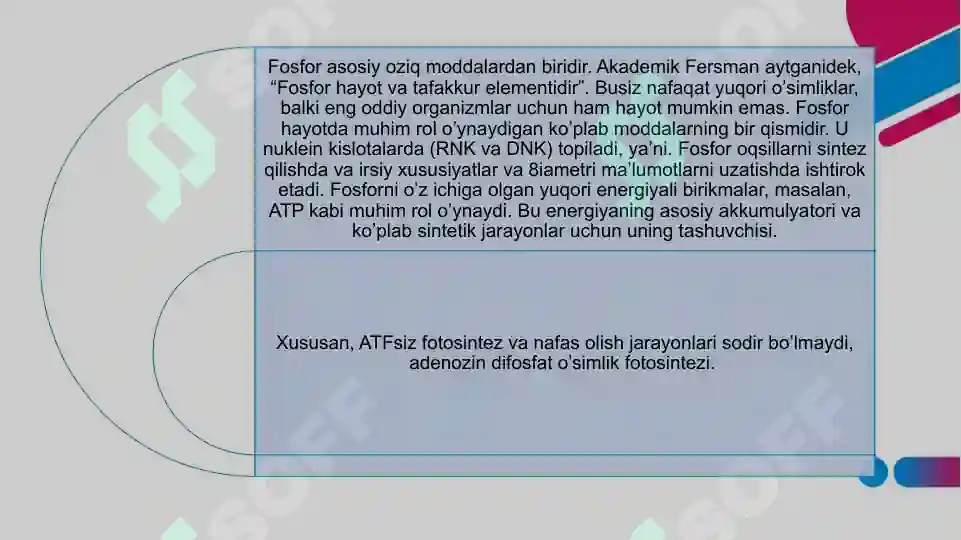 Product slide 7