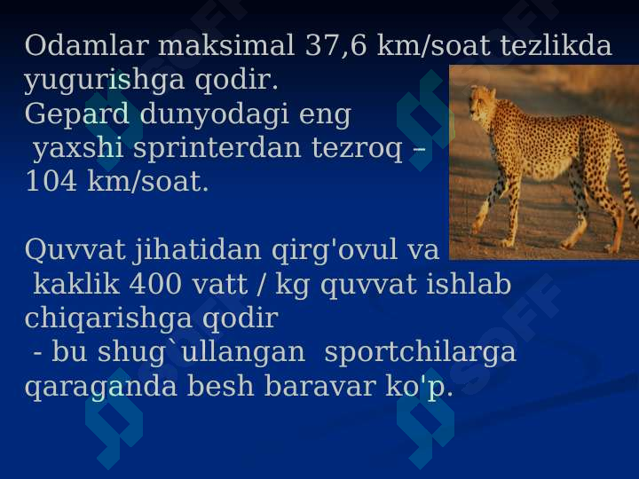 Product slide 5