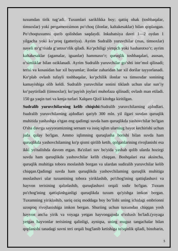 Product slide 5