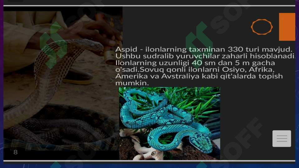 Product slide 8
