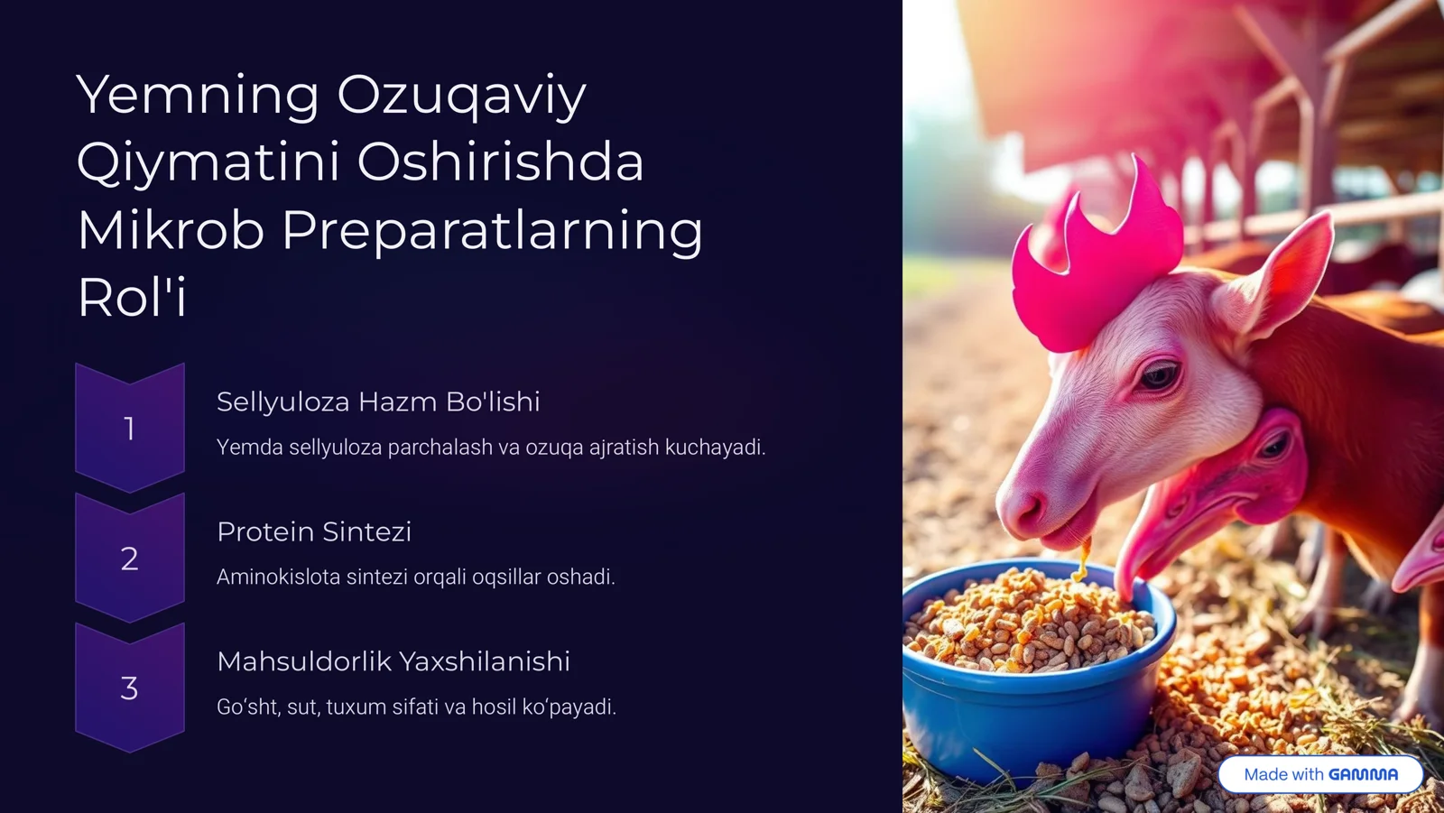 Product slide 3