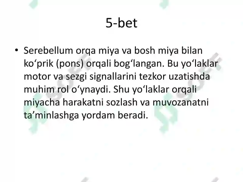 Product slide 6