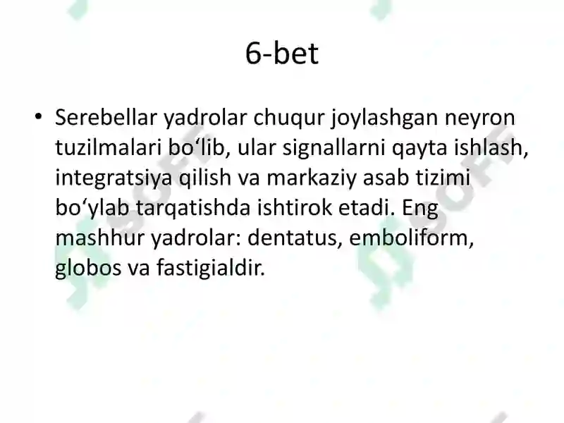 Product slide 7