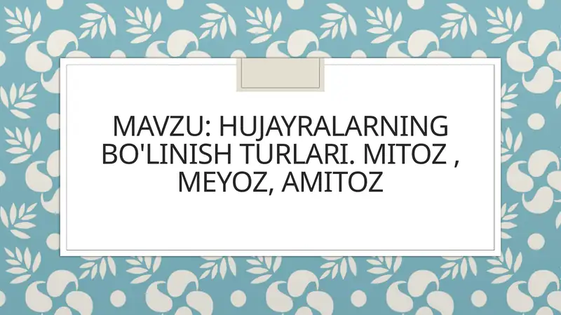Product slide 1