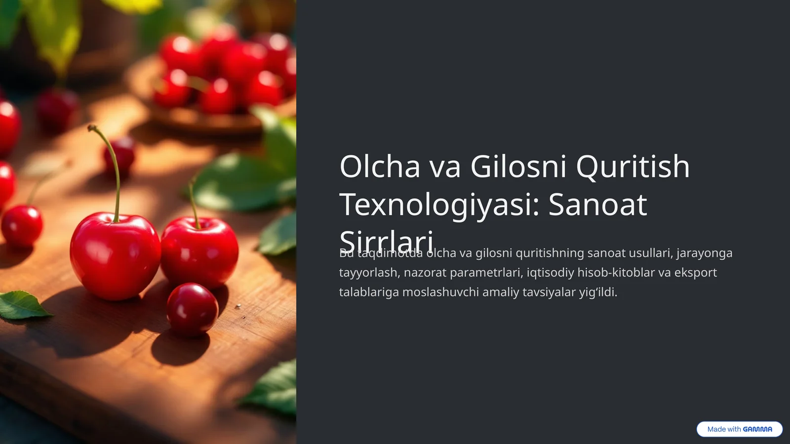Product slide 1