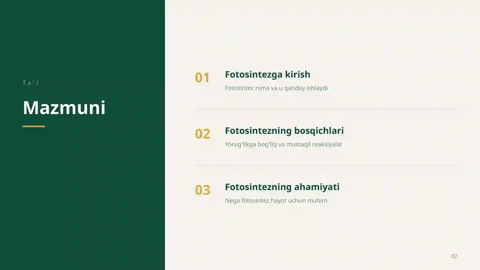 Product slide 2
