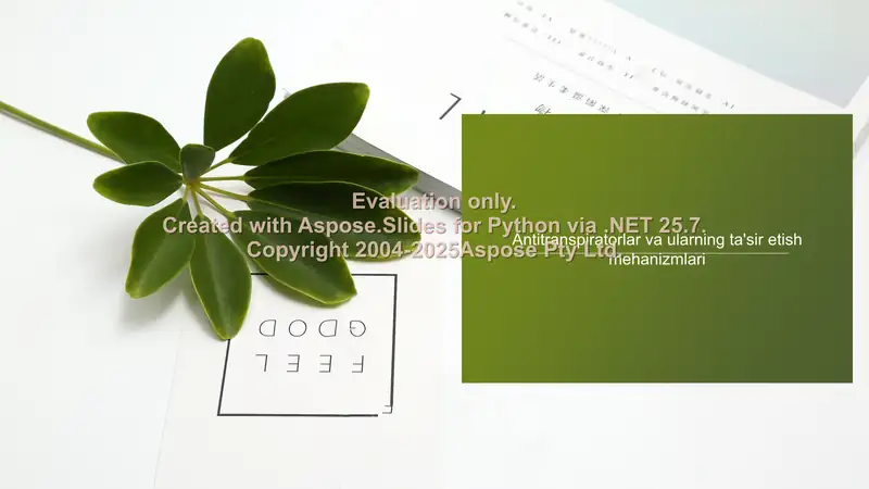 Product slide 2