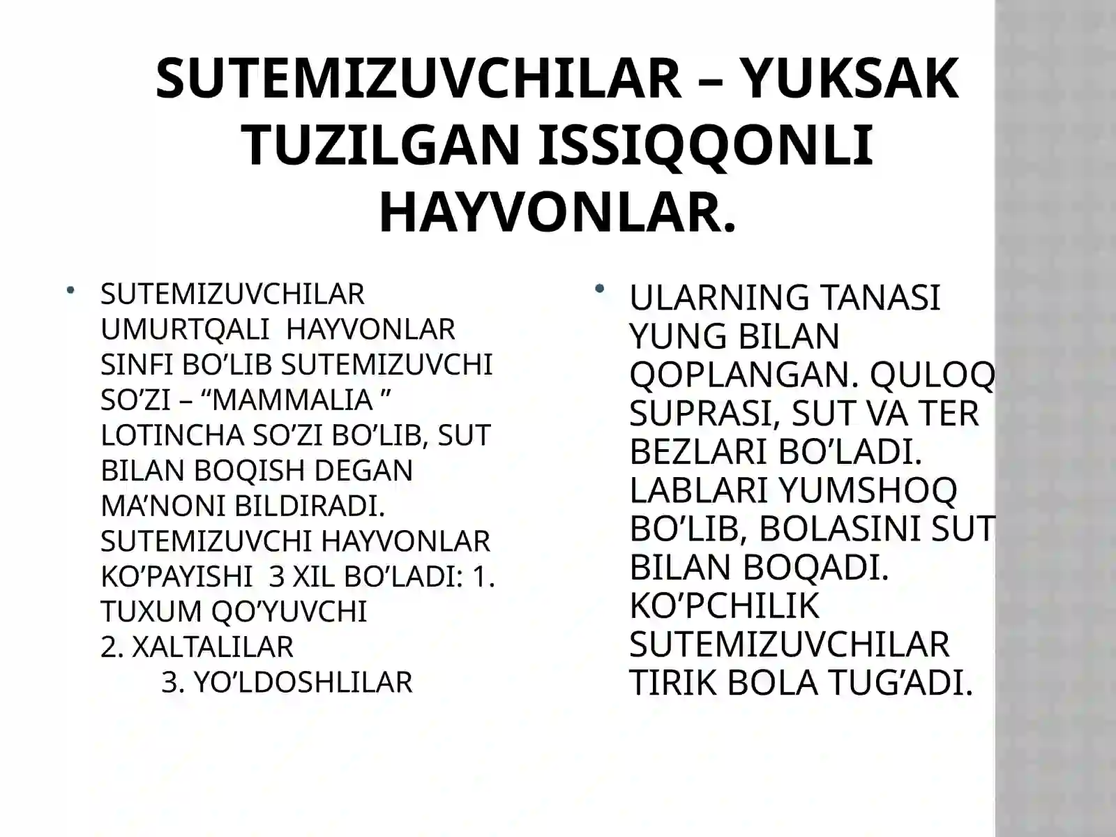 Product slide 2