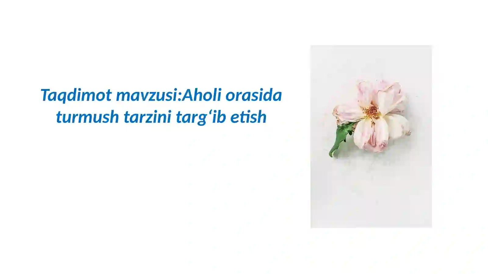 Product slide 2